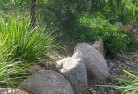 Sandy Creek NSWplanting-garden-and-landscape-design-3.jpg; ?>